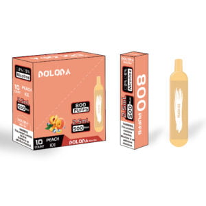DOLODA Mini bar 800 Puffs 2% Nicotine Cigarettes électroniques jetables rechargeables Vape en gros - BackVape - 10