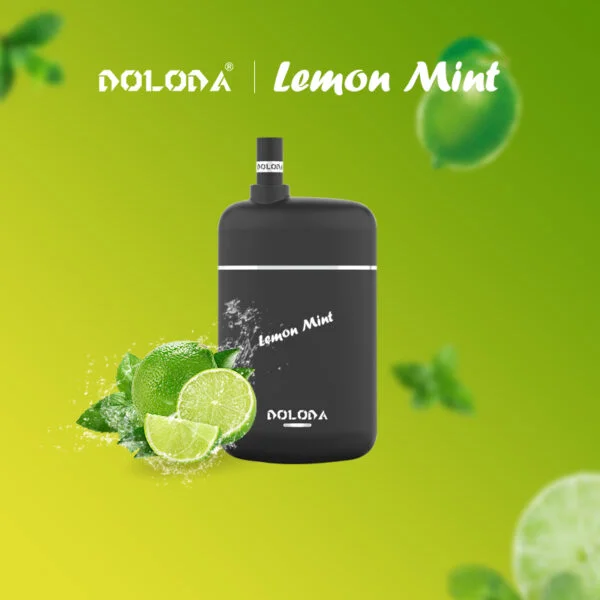 DOLODA Pebble 6500 Puffs 0% 2% 5% Nikotin uppladdningsbar engångsvape grossist - BackVape - 7