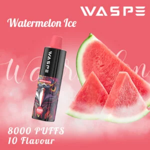 WASPE 8000 PUFFS 0% 2% 3% 5% Nikotin engångsvape grossist - BackVape - 13
